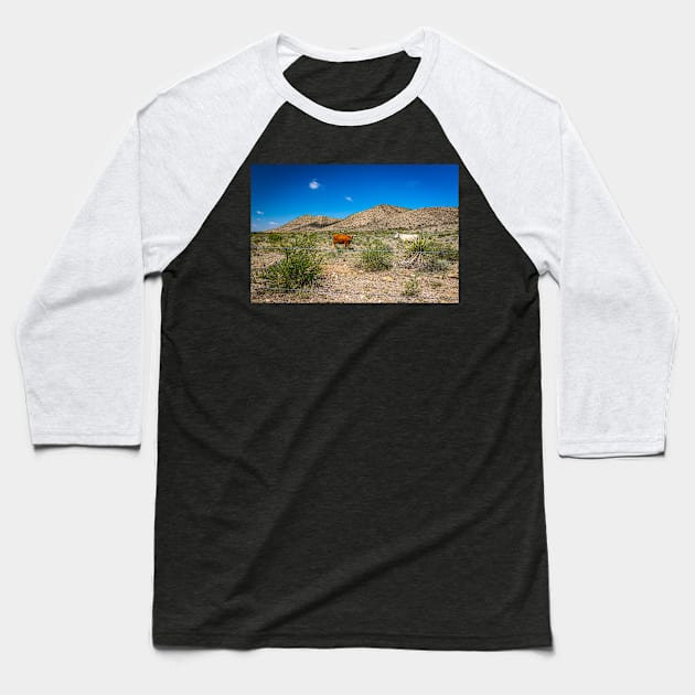 Criollo Cattle on the Open Range Baseball T-Shirt by Gestalt Imagery